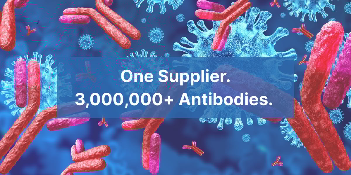 Antibody landing page